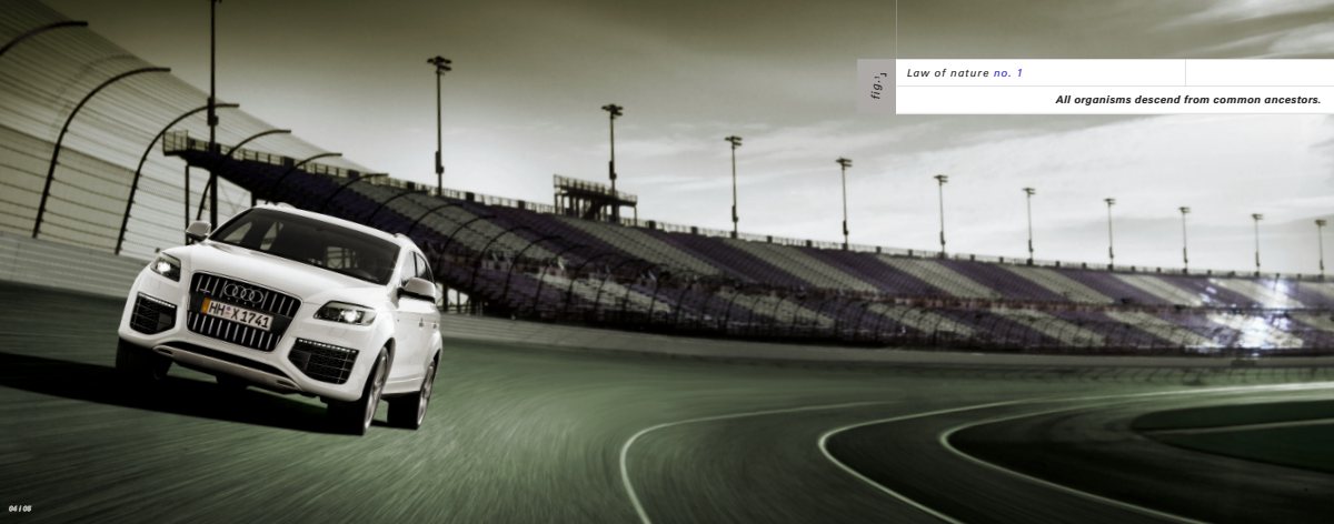 2011 – Q7 V12 TDi (UK) Preview Page 2
