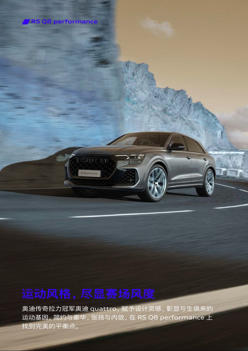 2025 – RS Q8 Performance (CN) Preview Page 3