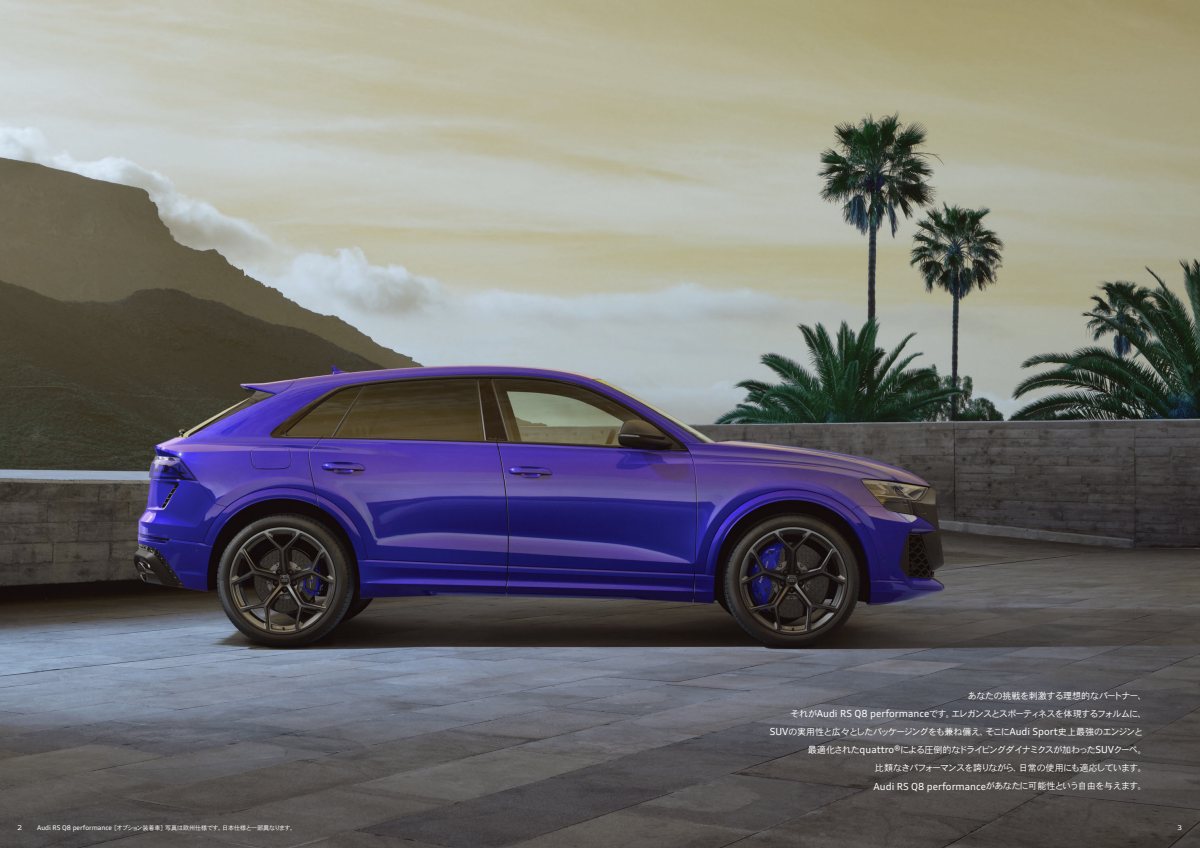 2025 – RS Q8 Performance (JP) Preview Page 2