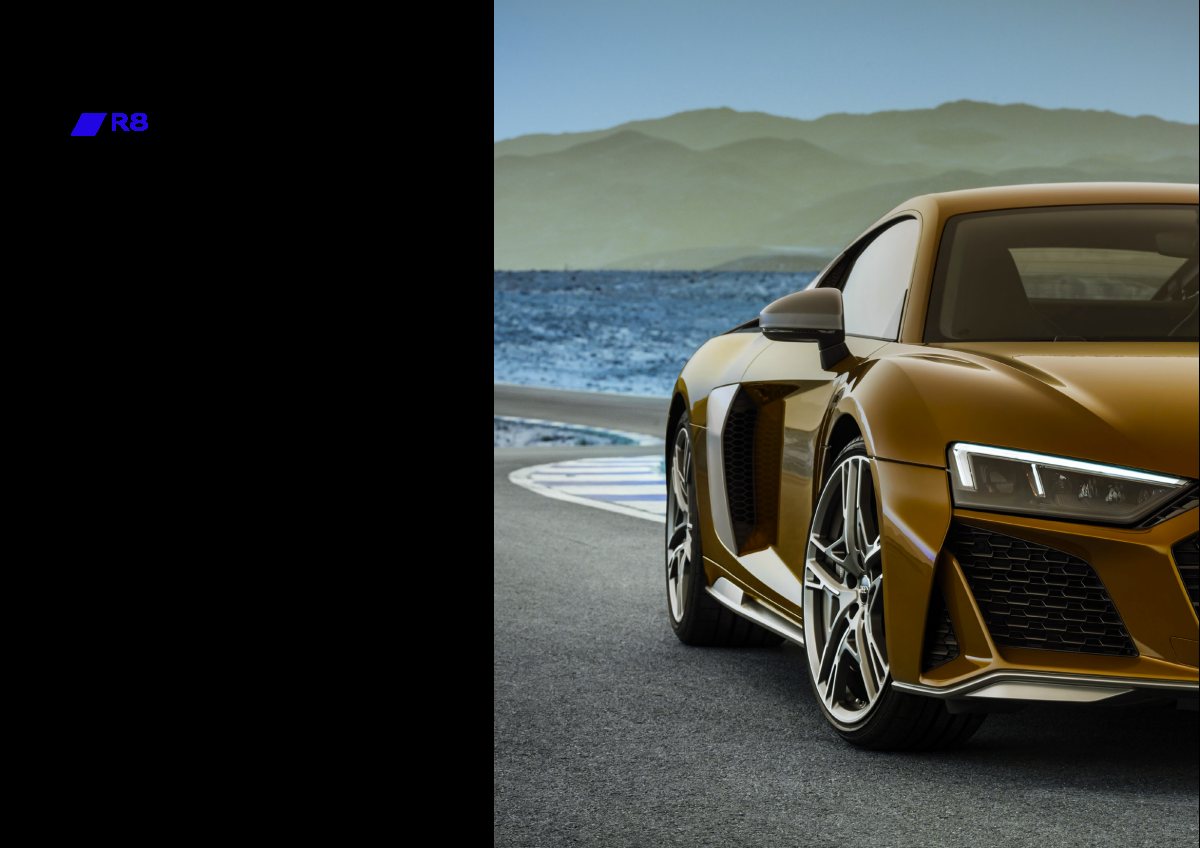 2021 – R8 (ZA) Preview Page 2