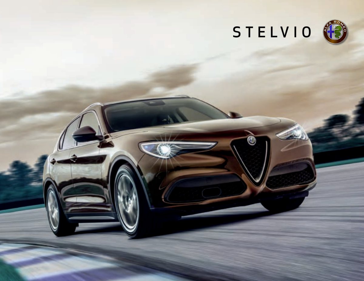 2019 – Stelvio (CA) Preview Page 1