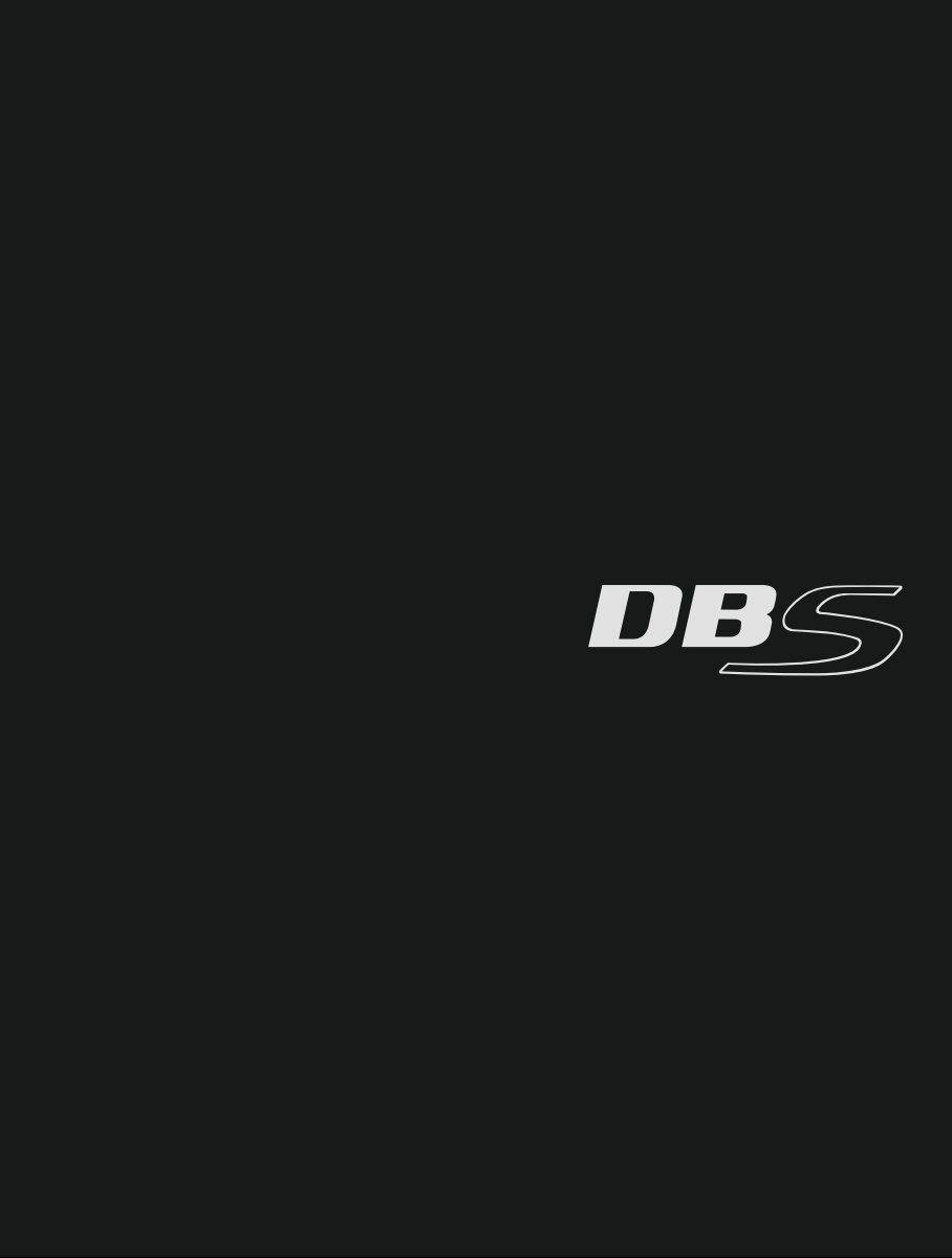 2008 – DBS (UK) Preview Page 2